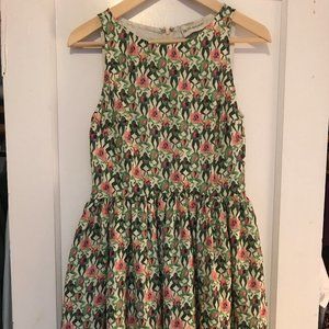 Rachel Antonoff Frog Dissection Mini Dress